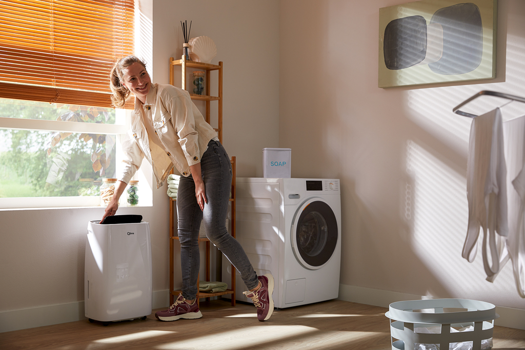 Ontvochtiger D 630 P SMART